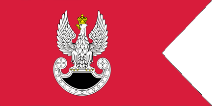 [Flag of the Special Forces]